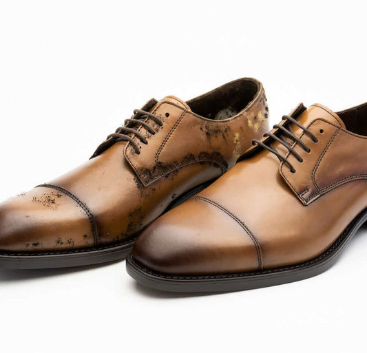 本当にカビが生えないのか実験してみた